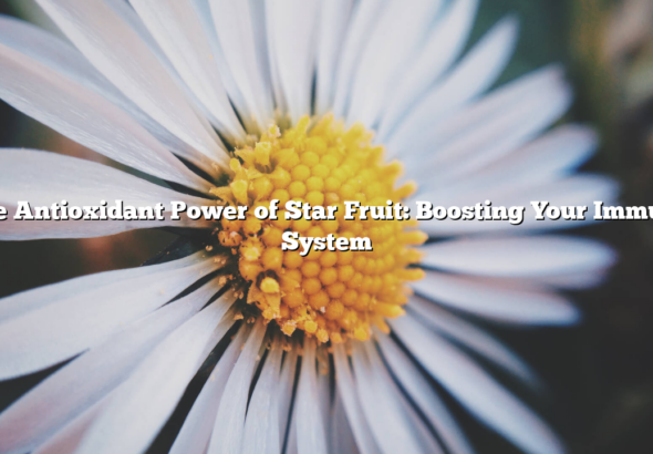 The Antioxidant Power of Star Fruit: Boosting Your Immune System