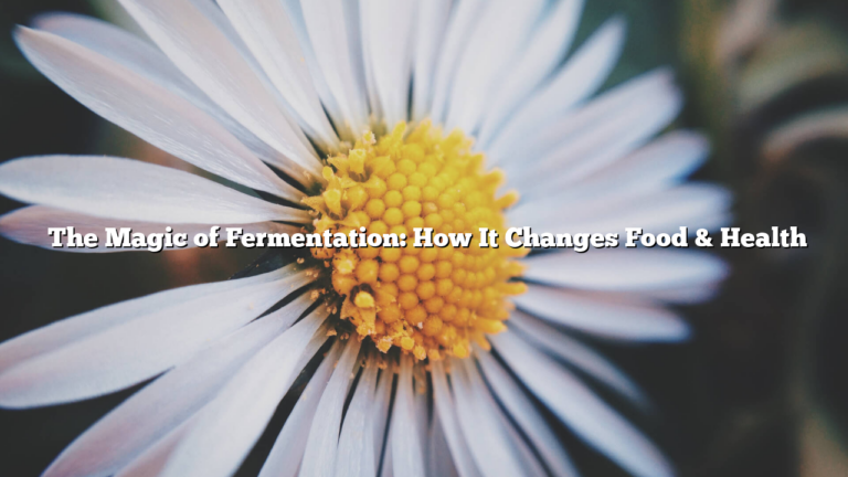 ﻿The Magic of Fermentation: How It Changes Food & Health