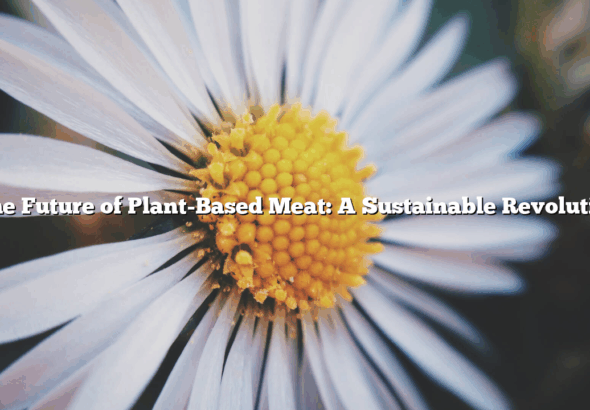﻿The Future of Plant-Based Meat: A Sustainable Revolution